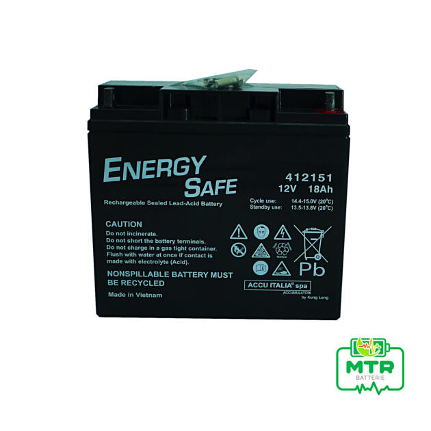 Batteria AGM 12V 18Ah BMW