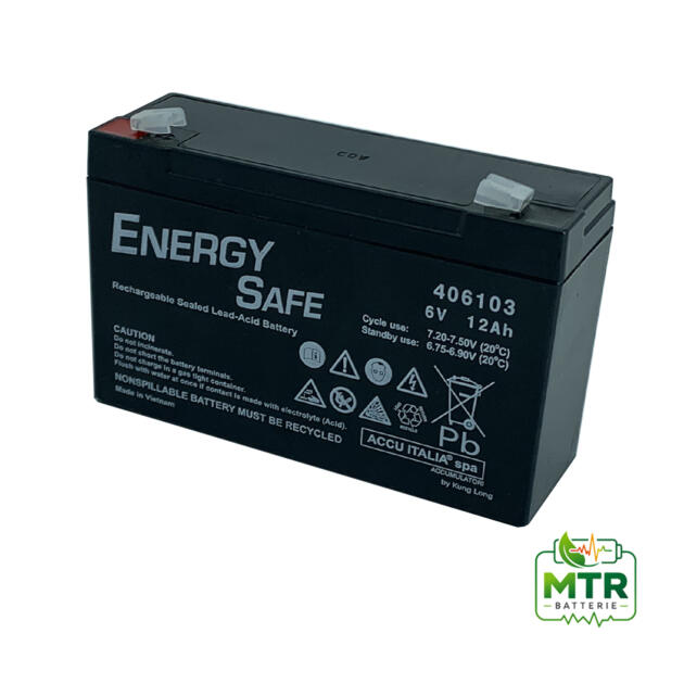 Batteria AGM 6V 12Ah
