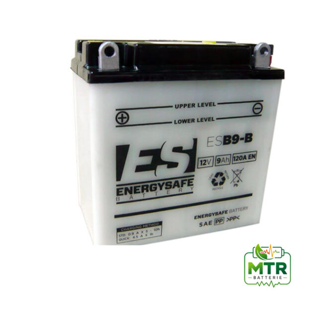 BATTERIA ENERGYSAFE ESB9-B 12V/9AH